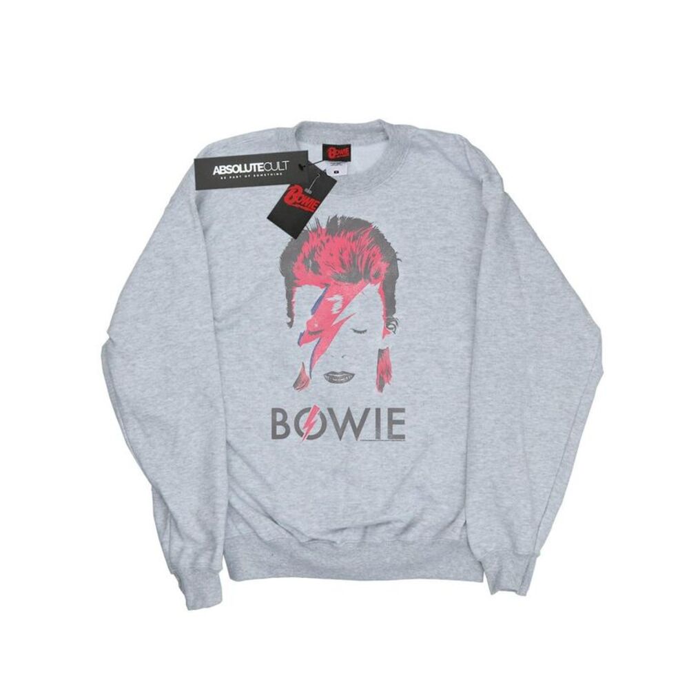 David Bowie Girls Aladdin Sane Distressed Sweatshirt / Sports Grey